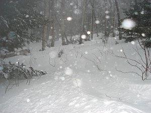 epiphany tree area at mount snow