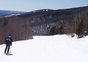 bumps on lower nitro
