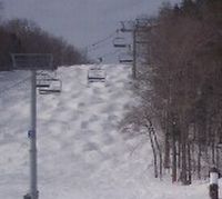 bumps on lower nitro