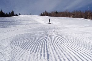 view of the awesome cords on snowdance february 2006